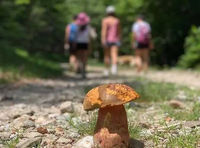 펜션 Maison Les Pieds Dans L'eau *